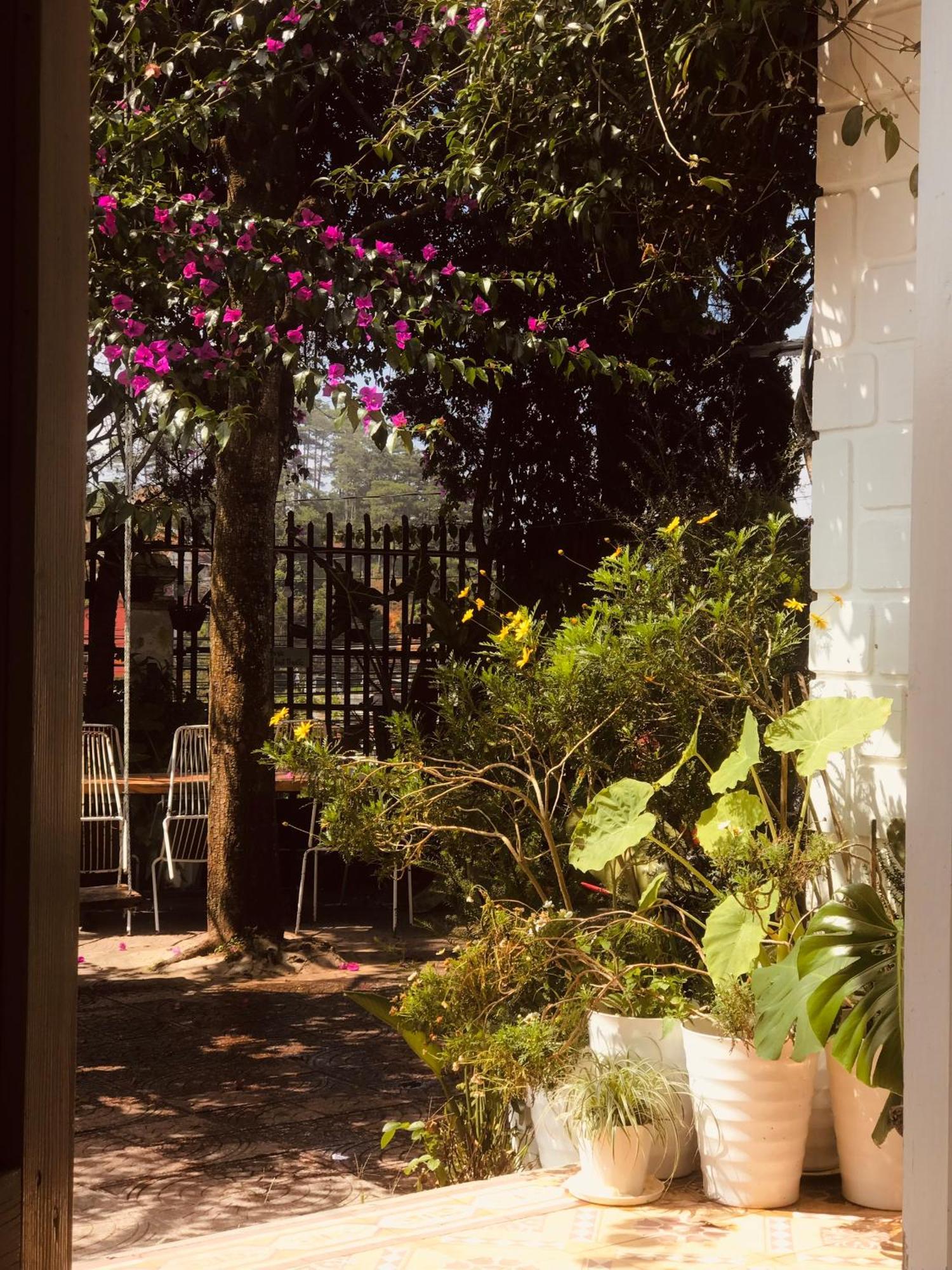 Hat De Homestay Da Lat Exterior photo